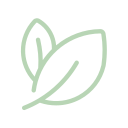 Icône en trait vert montrant deux feuilles de plante superposées.